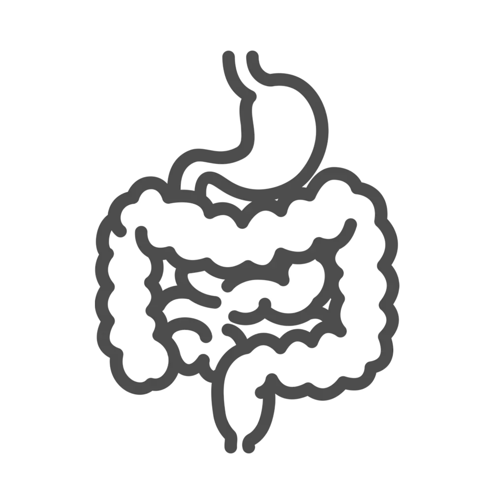 خدمات تخصصی گوارش