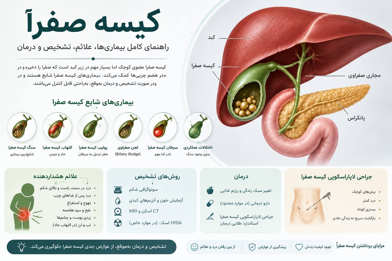 اینفوگرافیک جامع بیماری‌های کیسه صفرا شامل آناتومی کبد و صفرا، انواع بیماری‌ها مثل سنگ صفرا، علائم هشداردهنده، روش‌های تشخیص و مزایای جراحی لاپاراسکوپی